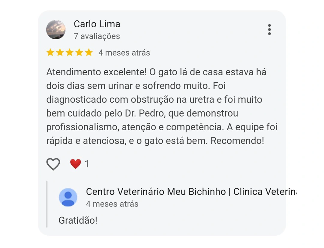 Avaliação 5 estrelas